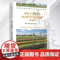 面向大数据的Java程序设计基础(微课版) 吴正江、毋东、王海涛、翟海霞 清华大学出版社 JAVA语言-程序设计