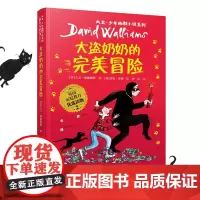 大卫·少年幽默小说系列 大盗奶奶的完美冒险 幽默治愈成长小说 8-14岁儿童文学书籍