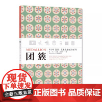 《团簇》WOW设计艺术包装纸书系列 定价:88 创意礼品DIY 中国美术学院出版社