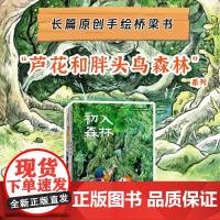 [送跳绳]芦花和胖头鸟森林(4册)平装 8岁以上 中国长篇原创手绘桥梁书 鹿一舟 安布鲁玛 温柔勇敢亲情友情 蒲蒲兰绘本