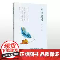 凡世遇见