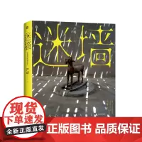 迷墙 精装 9787559865144 北贝 广西师范大学出版社 严明 著 2024-04