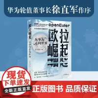 欧拉崛起:从华为走向世界 一部不为人知的华为“奋斗史” 历时4年,深度采访50余位华为专家