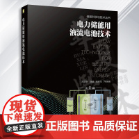 电力储能用液流电池技术 储能科学与技术丛书 全钒液流电池储能系统 储能技术发展背景 液流电池技术的发展 机械工业出版社