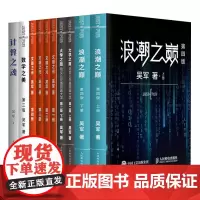 吴军书籍全套11册 浪潮之巅 大学之路 硅谷之谜 数学之美 文明之光 计算之魂 人民邮电出版社正版 企业成功励志管理书籍