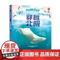 尤斯伯恩·探秘神奇星球:穿越北极