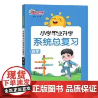 2024小学毕业升学系统总复习数学全国版