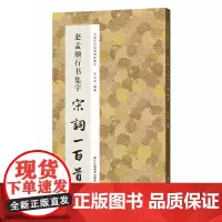 赵孟頫行书集字宋词一百首 收录赵孟頫经典行书碑帖洛神赋千字文集字古诗词作品集临摹教程 行书毛笔书法字帖