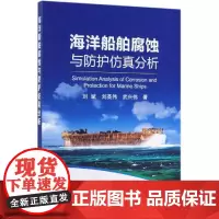 海洋船舶腐蚀与防护仿真分析 刘斌 刘英伟 武兴伟 著 冶金工业专业科技 正版图书籍 冶金工业出版社