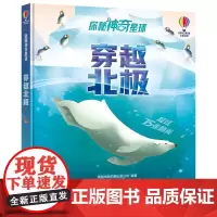 [接力出版社]尤斯伯恩探秘神奇星球系列 穿越北极 儿童科普翻翻书 5-8岁亲子共读科普大百科全书绘本故事翻翻洞洞书籍