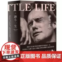 渺小一生 柳原汉雅著 四个男生跨越三十年人生起落的友谊史诗 追风筝的人后外国美国美洲现当代文学经典小说图书籍