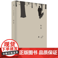 豹变 木心生前的"心愿之作" 木心小说选 艺术家的成长史 广西师范大学出版社