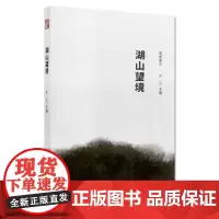 湖山望境 许江 著 艺术理论(新)艺术 正版图书籍 中国美术学院出版社
