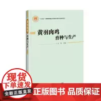黄羽肉鸡育种与生产 文杰主编 9787511660268