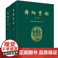 舞阳贾湖(上下卷)