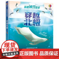 尤斯伯恩探秘神奇星球系列 穿越北极 儿童科普翻翻书 5-8岁亲子共读科普大百科全书绘本故事书籍