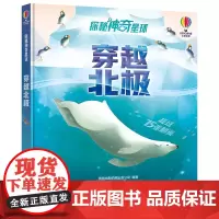 尤斯伯恩探秘神奇星球系列 穿越北极 儿童科普翻翻书 5-8岁亲子共读科普大百科全书绘本故事书籍