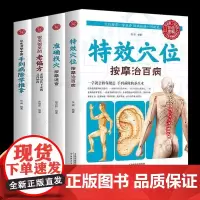 全4册 特效穴位按摩治百病+准确找穴按摩速查+从生活学中医:手到病除学推拿+很灵很灵的老偏方:老祖宗传下来的灵丹妙药