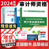 2024审计专业技术资格考试初级3册套装:金考卷+专用教材