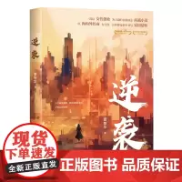 正版 逆袭 雷智华著 中国当代长篇小说 海峡文艺出版社