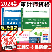 [正版]2024审计专业教材2册套装:审计相关专业知识+审计理论与实务 讲义书籍初级中级高级审计师考试教材