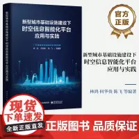 正版 新型城市基础设施建设下时空信息智能化平台应用与实践 架构体系数据资源业务模型主要功能应用架构关键技术书籍 林鸿