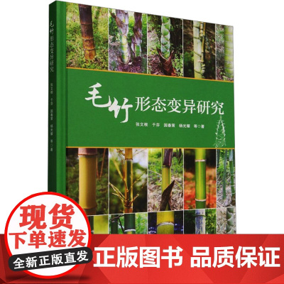 毛竹形态变异研究 张文根 等 著 畜牧/养殖专业科技 正版图书籍 中国林业出版社