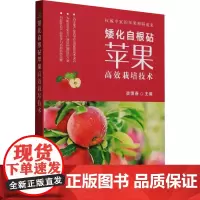 矮化自根砧苹果高效栽培技术 渠慎春 编 畜牧/养殖专业科技 正版图书籍 中国农业出版社