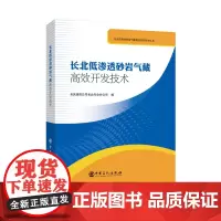 长北低渗透砂岩气藏高效开发技术