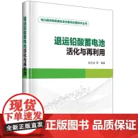 电力废弃物资源化及无害化应用技术丛书 退运铅酸蓄电池活化与再利用