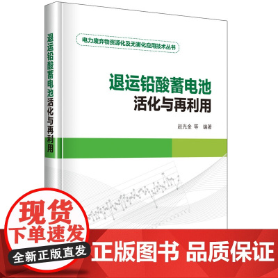 电力废弃物资源化及无害化应用技术丛书 退运铅酸蓄电池活化与再利用