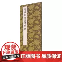 赵孟頫行书洛神赋 行书临摹高清原碑帖+近距离临摹可平摊毛笔书法字帖入门临摹教材范本基础教程 正版中国历代碑帖丛刊