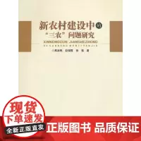 新农村建设中的“三农”问题研究