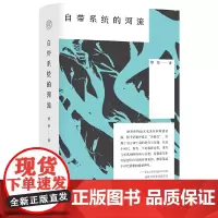 纯粹·自带系统的河流