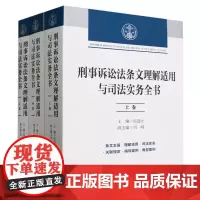 刑事诉讼法条文理解适用与司法实务全书(上中下)