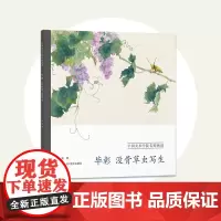 毕彰 没骨草虫写生 中国美术学院名师画谱 国画常见草虫绘画技法训练步骤解析临摹教材 高清画谱范本基础教程书籍供初学者学习