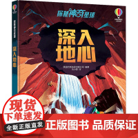 深入地心 英国尤斯伯恩出版公司 编 马小皎 译 科普百科少儿 正版图书籍 接力出版社