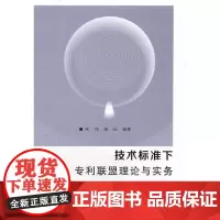 技术标准下专利联盟理论与实务