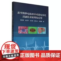 新型微秒电脉冲不可逆电穿孔消融技术原理及应用
