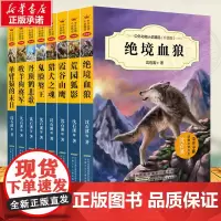 沈石溪动物小说全集品藏书系作品正版全套中外动物小说精品升级版第二辑三四五六年级必读课外书小学生课外阅读书籍儿童故事书读物