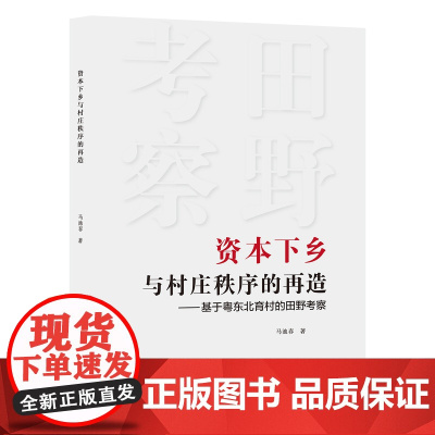 资本下乡与村庄秩序的再造