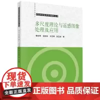 多尺度理论与遥感图像处理及应用