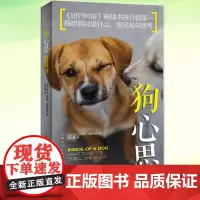 狗心思 (美)亚历山德拉·霍罗威茨 著 季之楠 译 揭露狗狗是如何思考的 如何训练狗 狗吠的含义 宠物沟通交流书籍 上海