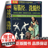 图解易筋经 洗髓经 健身养生 达摩古法与少林功夫武术书籍 气功内功修炼方法 体育运动武术强身健体 经典养生禅功夫练习书