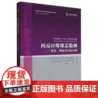 核反应堆堆芯监测:背景、理论及实际应用