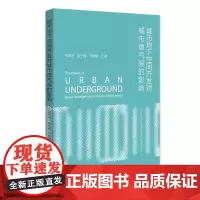 城市地下空间开发对城市微气候的影响 杨晓彬 北京大学店正版