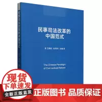 民事司法改革的中国范式