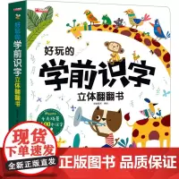 好玩的学前识字立体翻翻书 本书编写组 著 著 哈皮童年 绘 启蒙认知书/黑白卡/识字卡少儿 正版图书籍