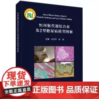 恒河猴代谢综合征及2型糖尿病模型图解