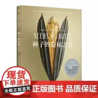 种子的隐秘之美 [英] 列文·比斯 李永学 译 微距摄影呈现种子的美 牛津大学终极昆虫图鉴 科普图鉴 种子艺术摄影浦睿文